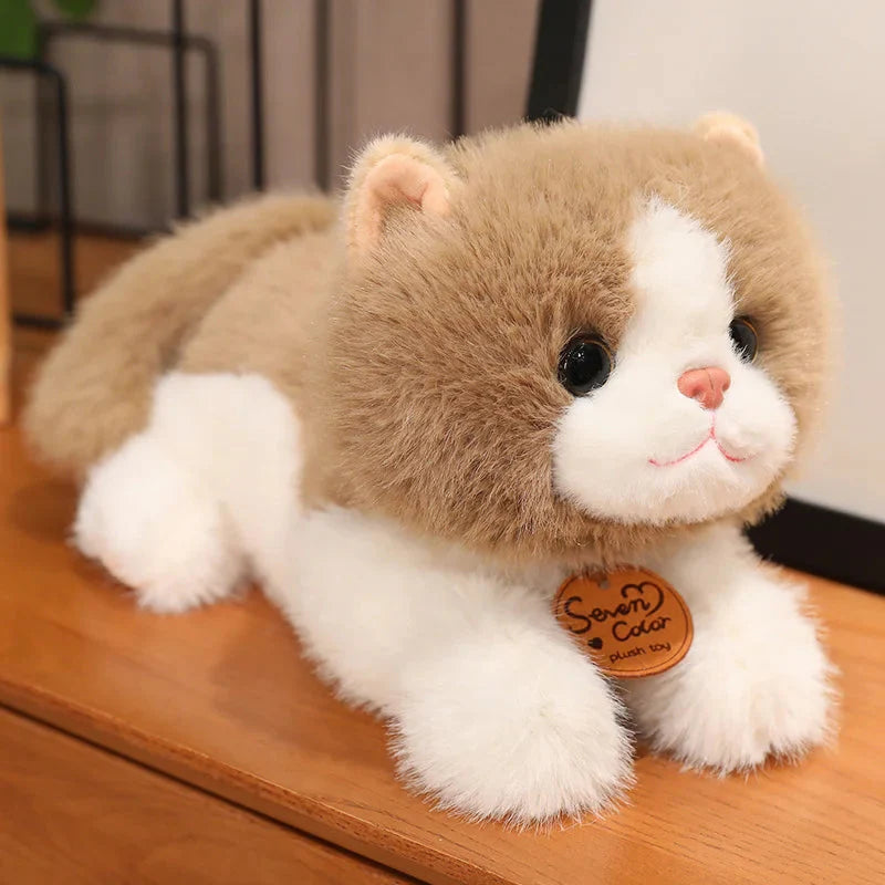 Fluffy Kitten Squad Laying Plushies