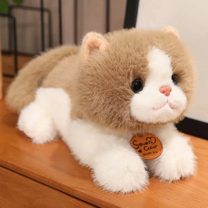 Fluffy Kitten Squad Laying Plushies