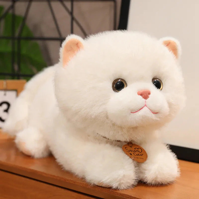 Fluffy Kitten Squad Laying Plushies