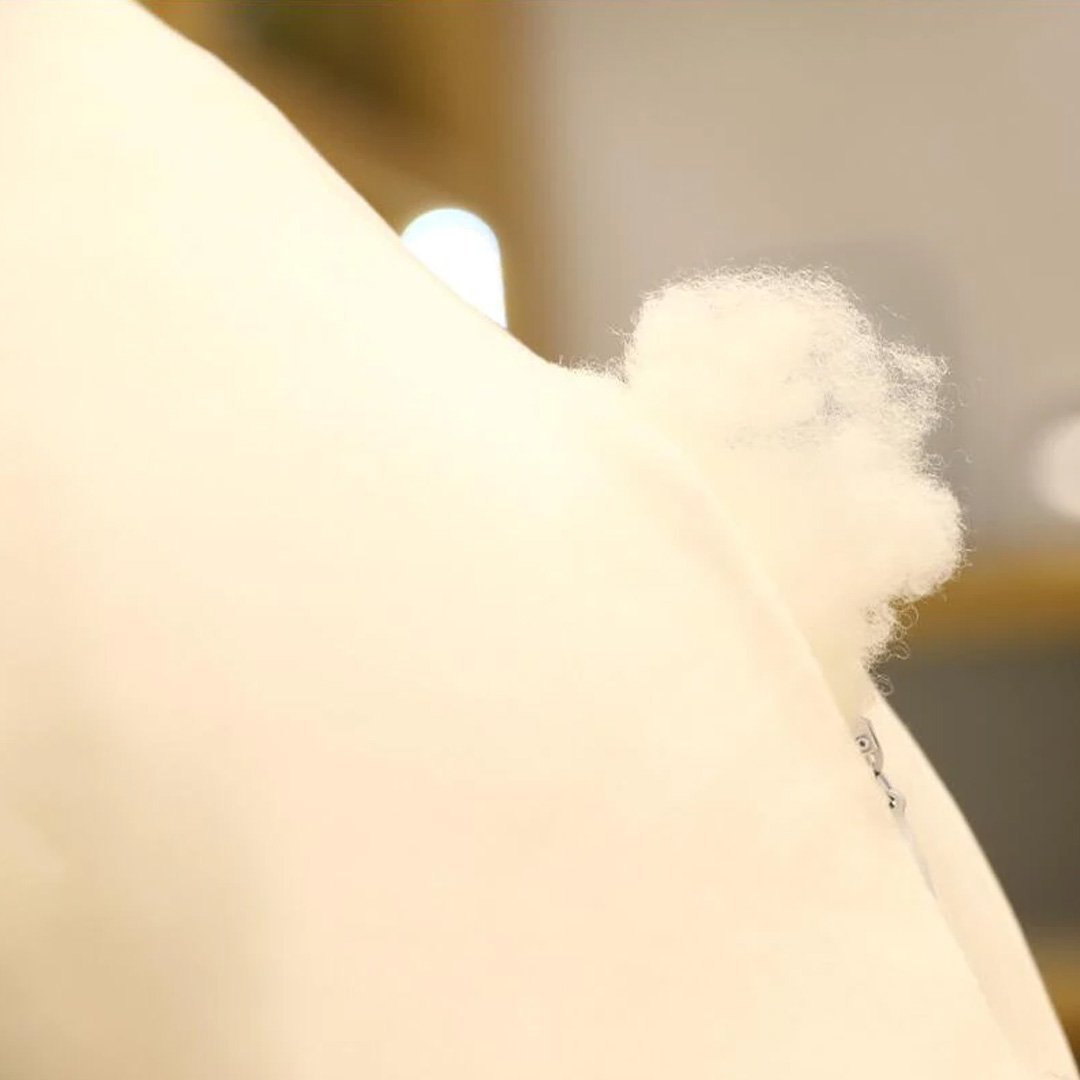 Fred the Super Puffy Seagull