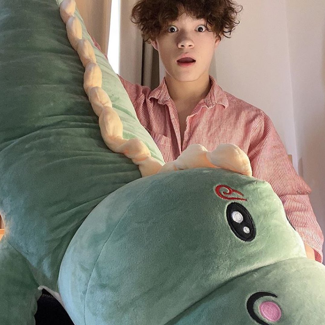 Haku The Dinosaur Plushie