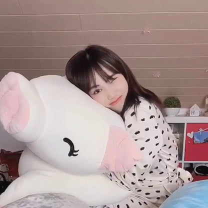 Jeju The Piggy Plushie | Exclusive