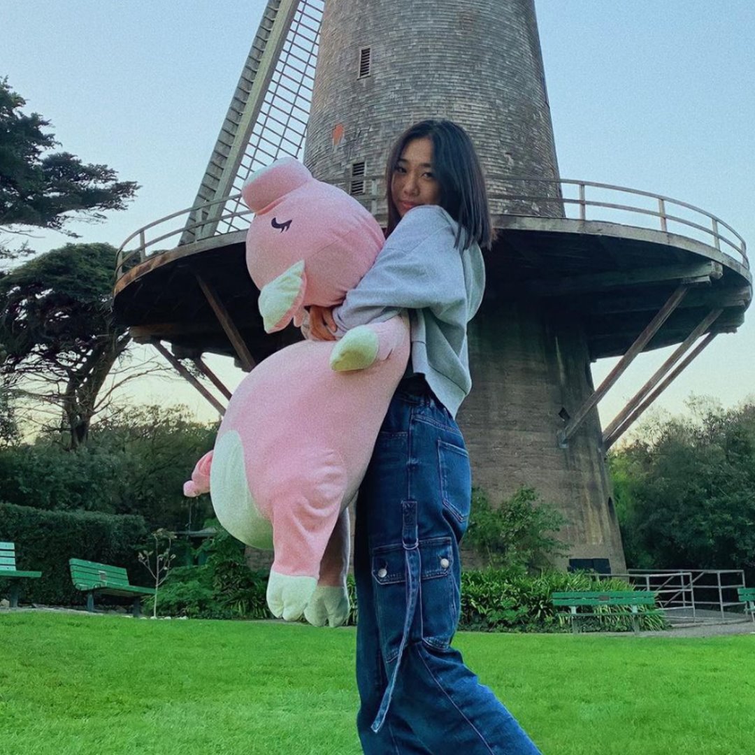 Jeju The Piggy Plushie | Exclusive
