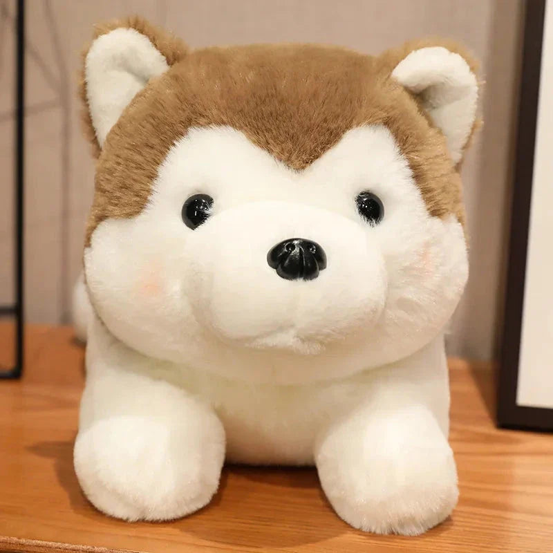 Kawaii Soft Husky Plush