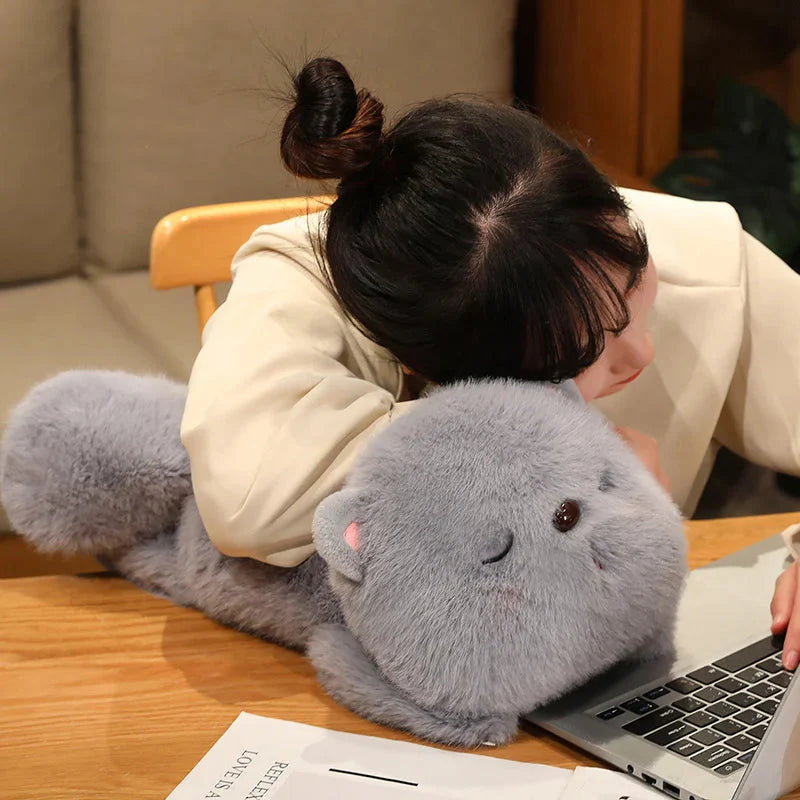 Kawaii Soft Sleeping Cat