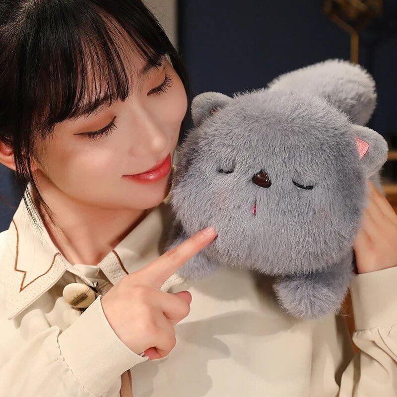 Kawaii Soft Sleeping Cat