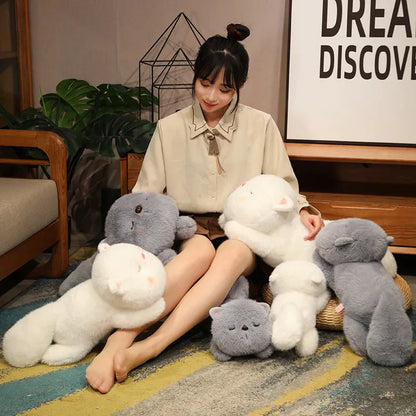 Kawaii Soft Sleeping Cat