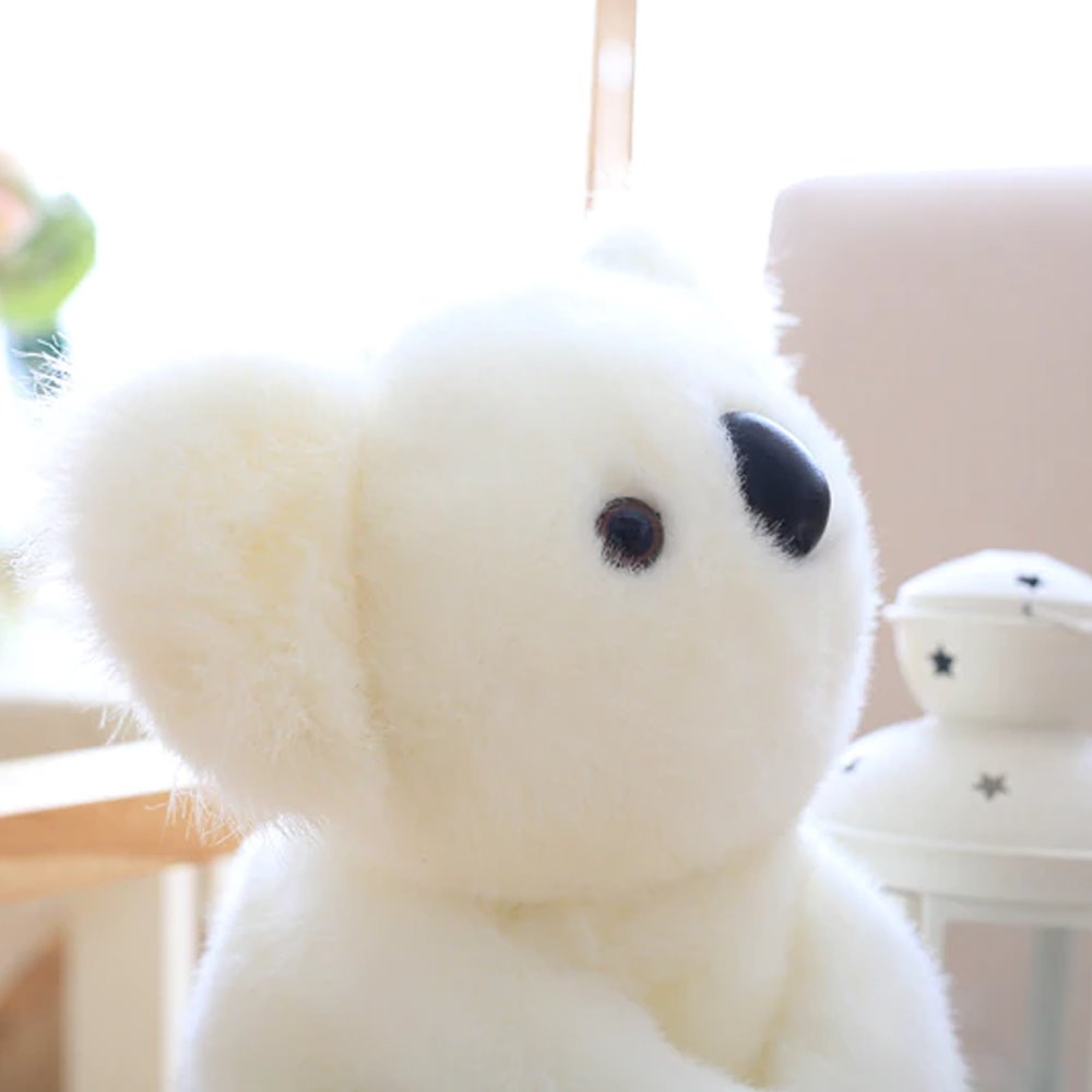 Koala Bear Family