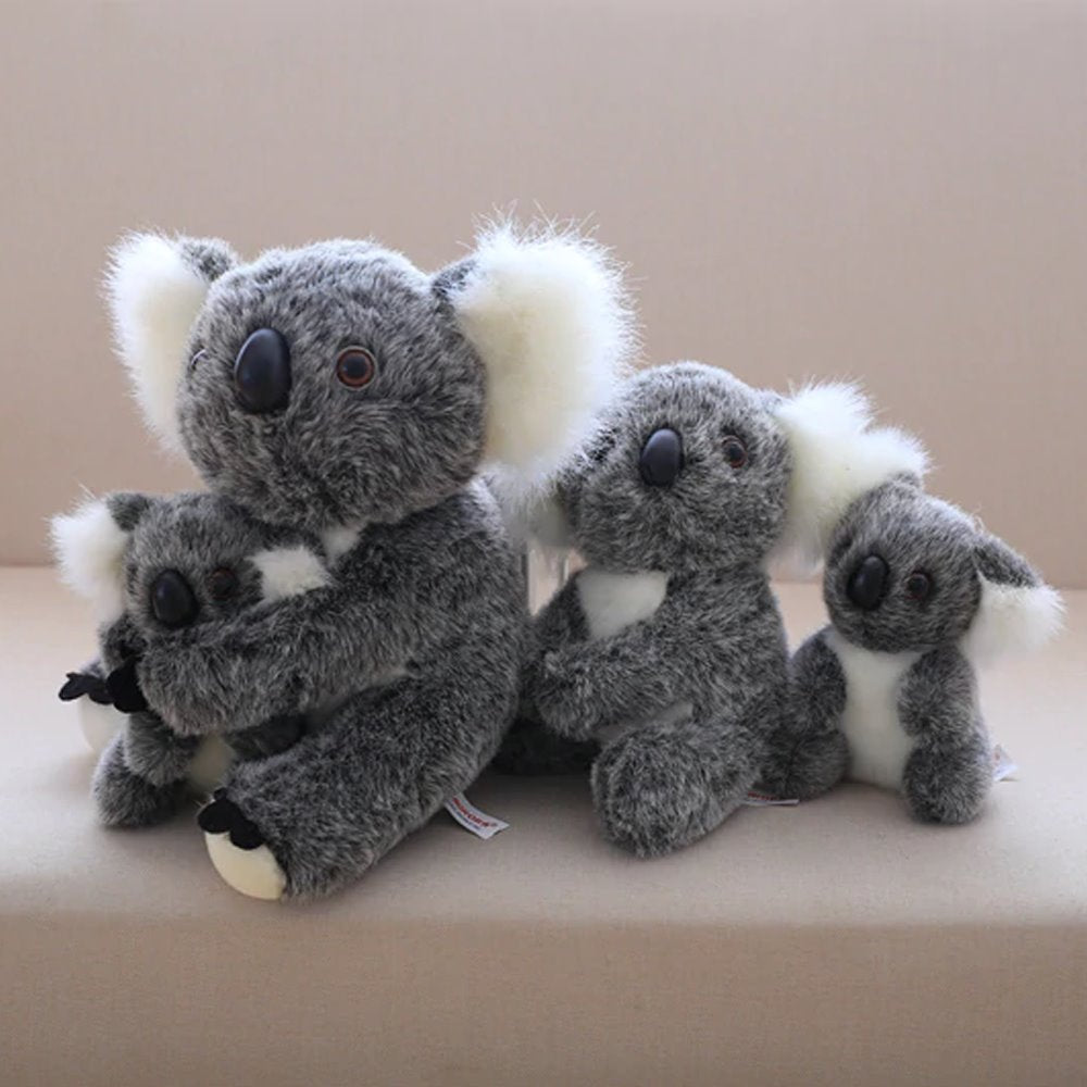 Koala Bear Family