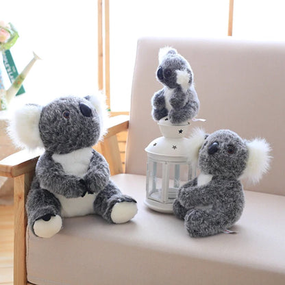 Koala Bear Family