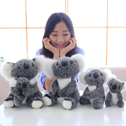 Koala Bear Family