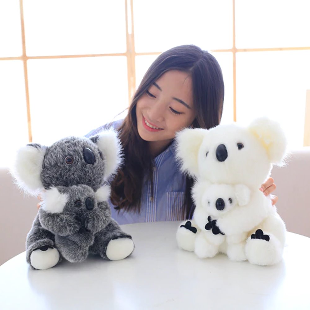 Koala Bear Family