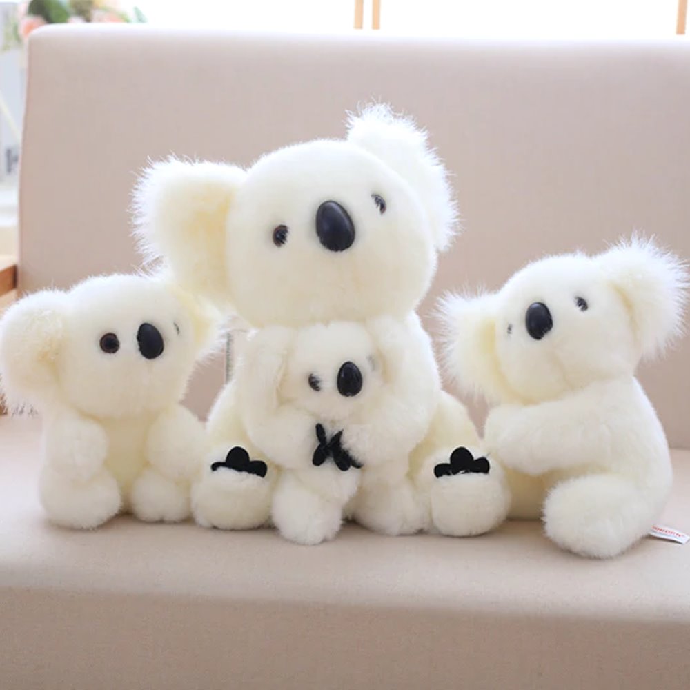 Koala Bear Family