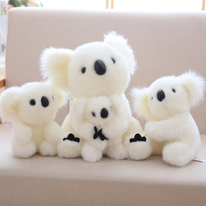 Koala Bear Family