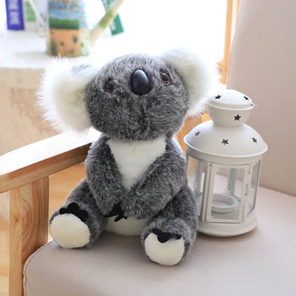Koala Bear Family