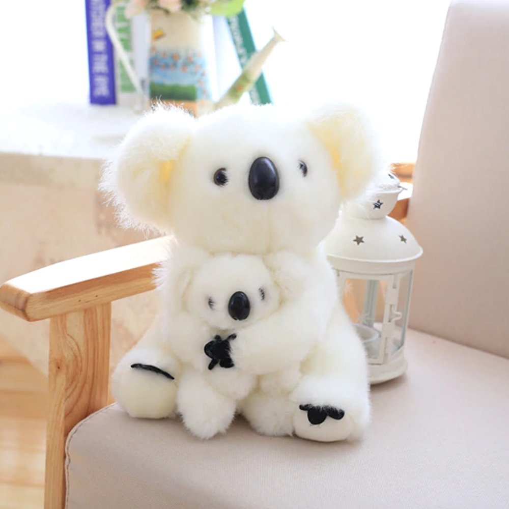 Koala Bear Family