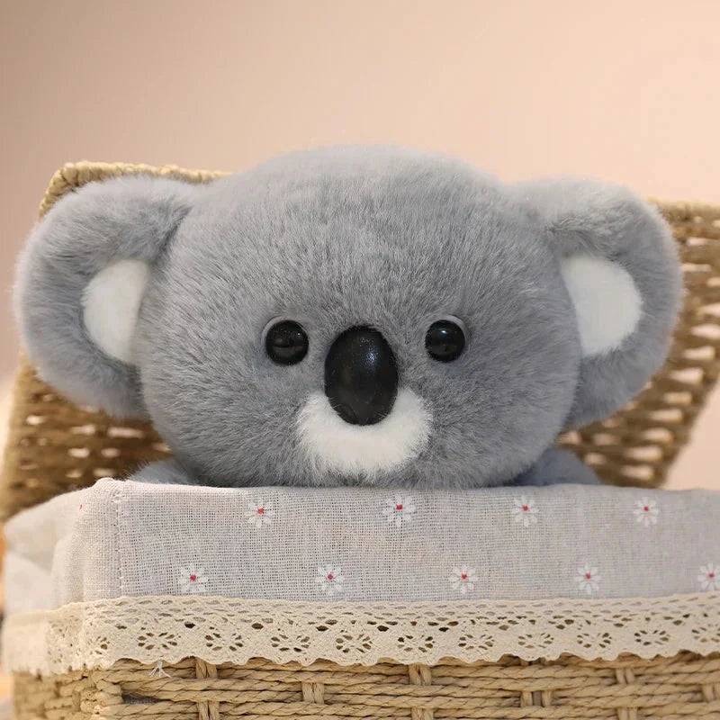 Koko the Kawaii Koala Plushie