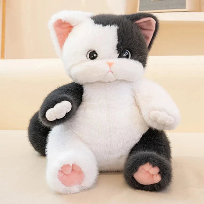 Kuro and Neko the Kawaii Cat Plushies
