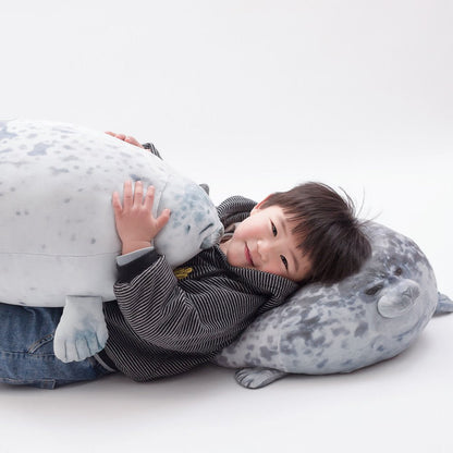 Lazy Chubby Seal