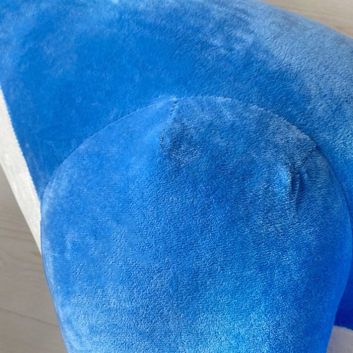 Little Long Neck Dino