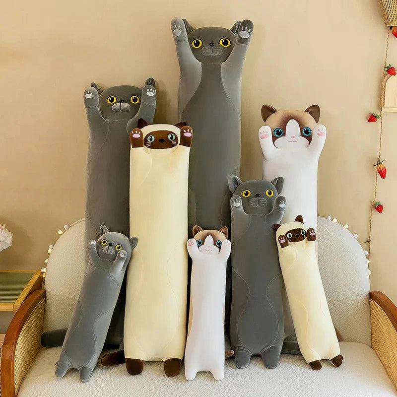 Long Snuggly Cat Siamese British Shorthair Snowshoe Plushies Collection