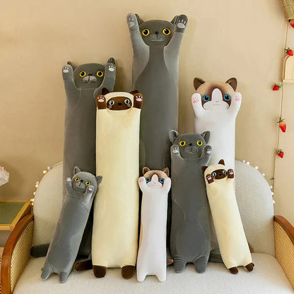 Long Snuggly Cat Siamese British Shorthair Snowshoe Plushies Collection