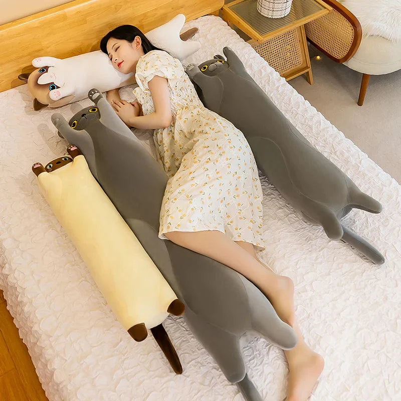 Long Snuggly Cat Siamese British Shorthair Snowshoe Plushies Collection