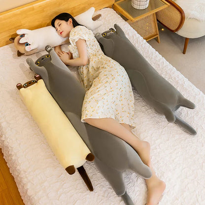 Long Snuggly Cat Siamese British Shorthair Snowshoe Plushies Collection