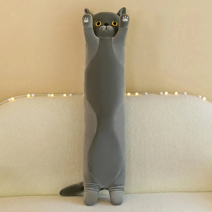 Long Snuggly Cat Siamese British Shorthair Snowshoe Plushies Collection