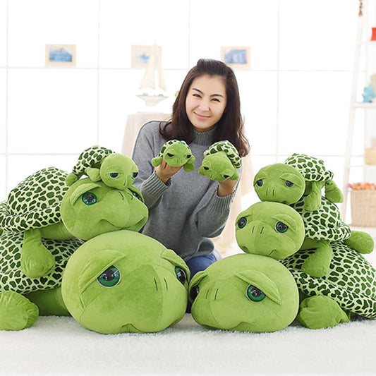 Bob the Tortoise