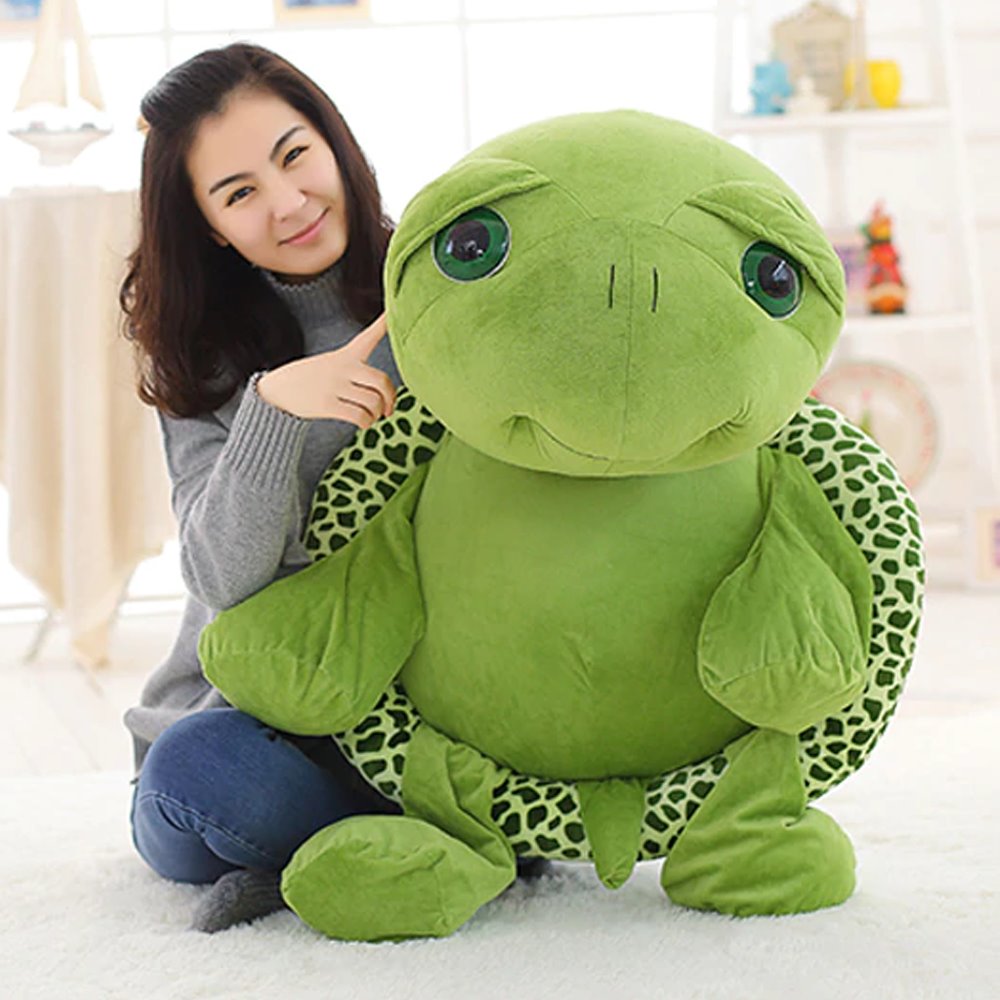 Bob the Tortoise