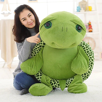 Bob the Tortoise