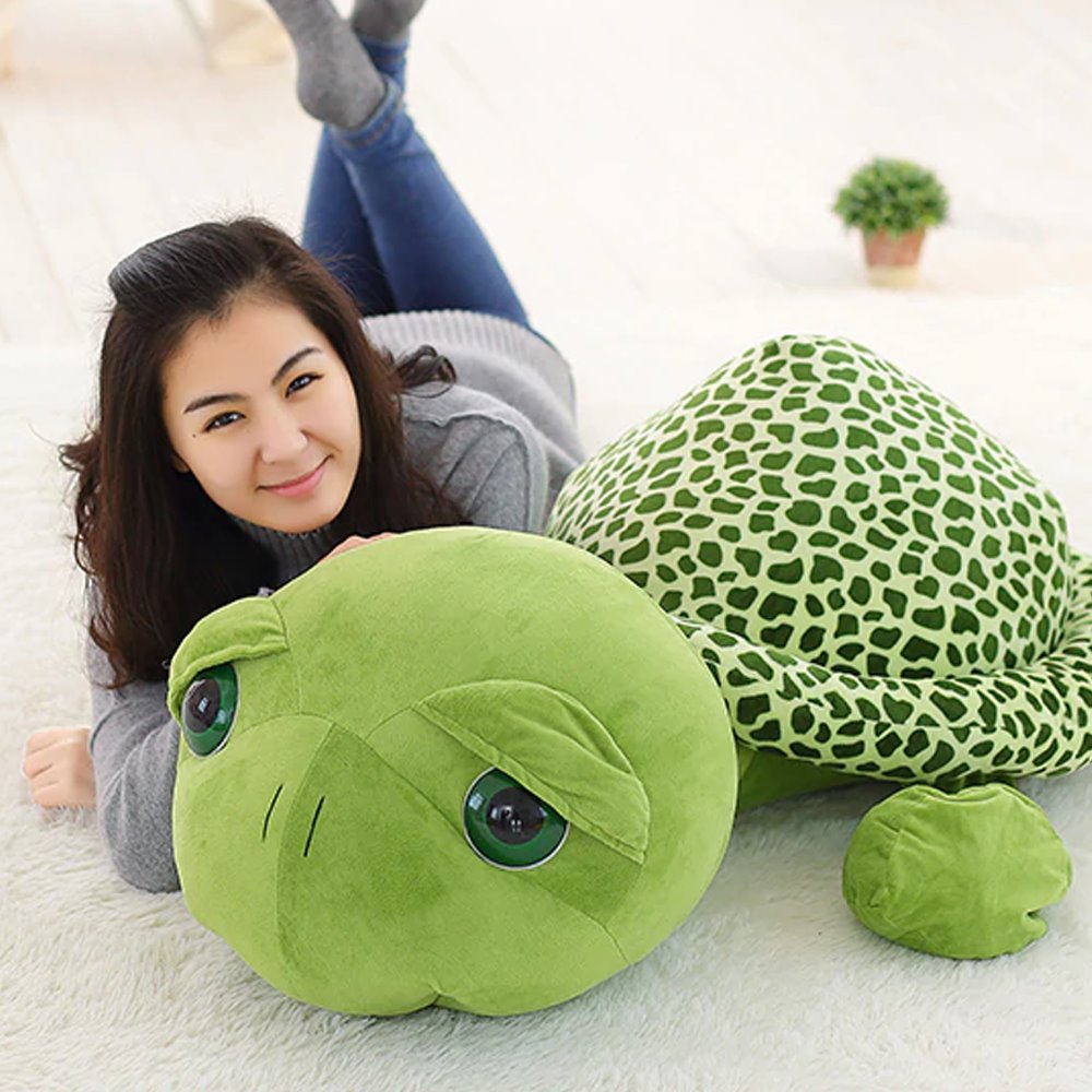 Bob the Tortoise