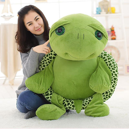 Bob the Tortoise