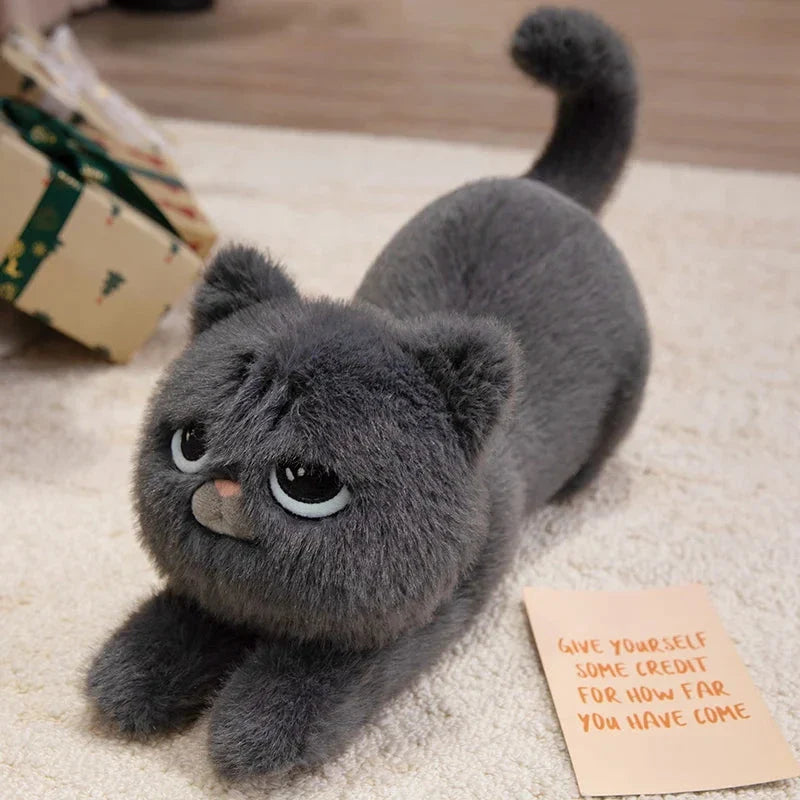Mochi, Marmie & Midnight – Sleepy Cat Plushies
