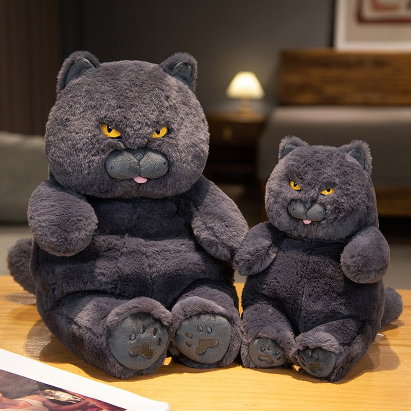 Poe the Grumpy Cat Plushie