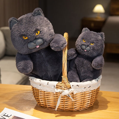 Poe the Grumpy Cat Plushie