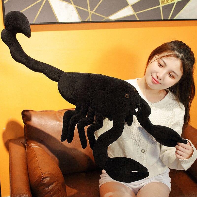 Sage the Scorpion