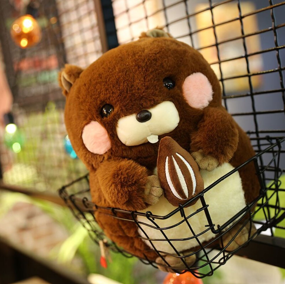 Snacking Beaver Plushies | LIMITED STOCK