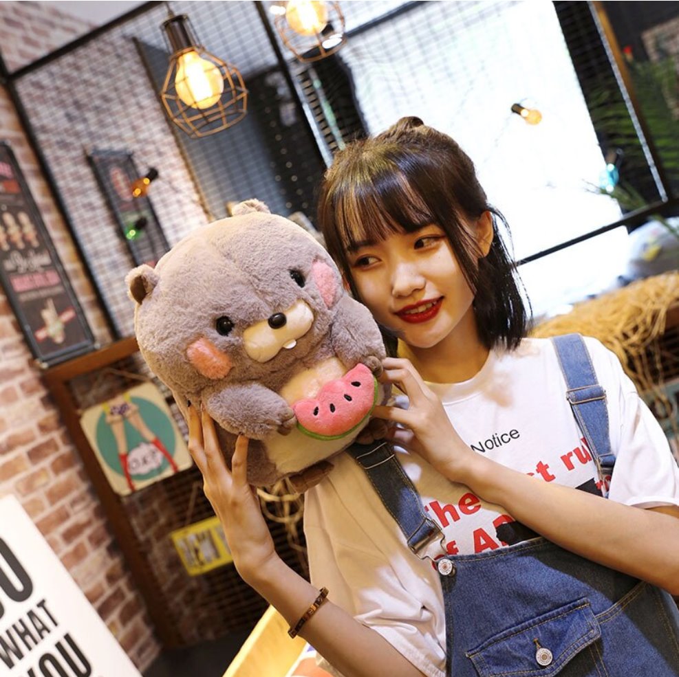 Snacking Beaver Plushies | LIMITED STOCK