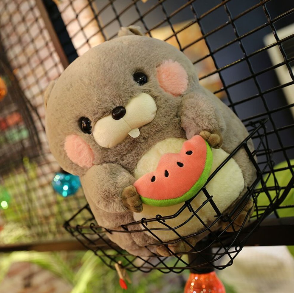 Snacking Beaver Plushies | LIMITED STOCK