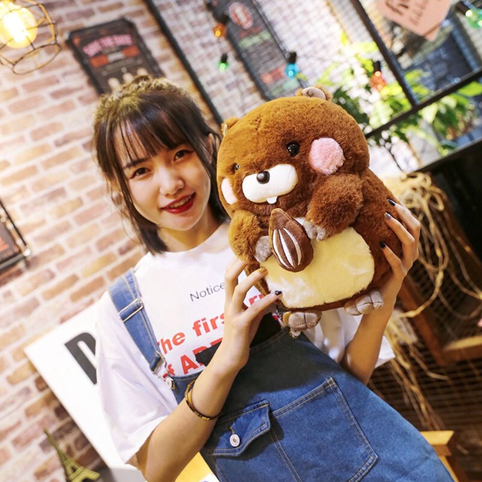 Snacking Beaver Plushies | LIMITED STOCK
