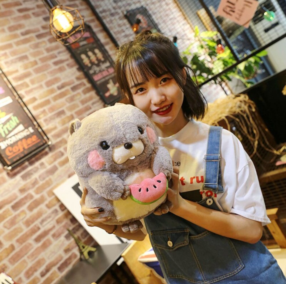 Snacking Beaver Plushies | LIMITED STOCK