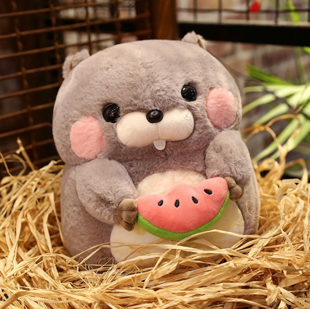Snacking Beaver Plushies | LIMITED STOCK