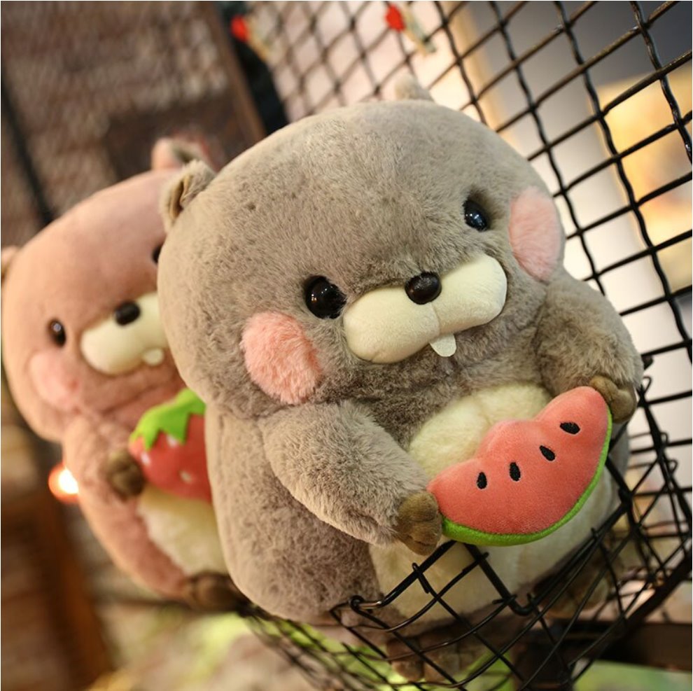Snacking Beaver Plushies | LIMITED STOCK