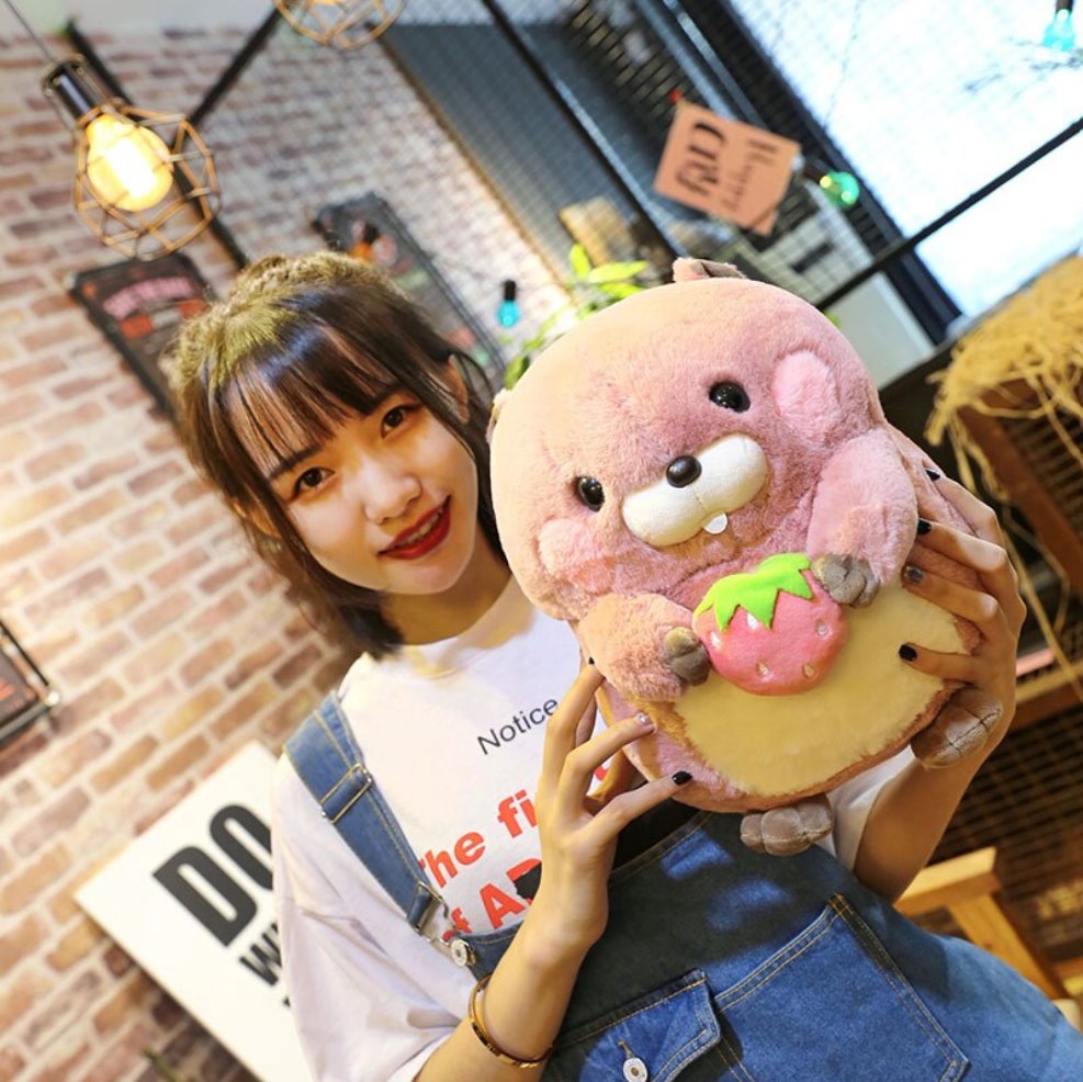 Snacking Beaver Plushies | LIMITED STOCK