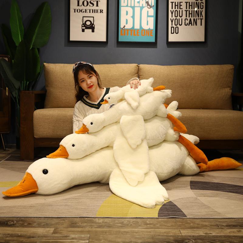 Sora the Fluffy Swan
