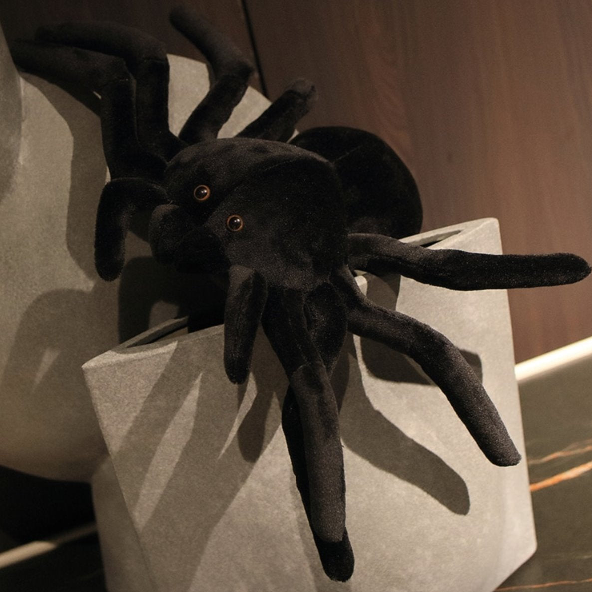Terry the Tarantula