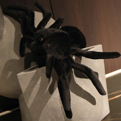 Terry the Tarantula