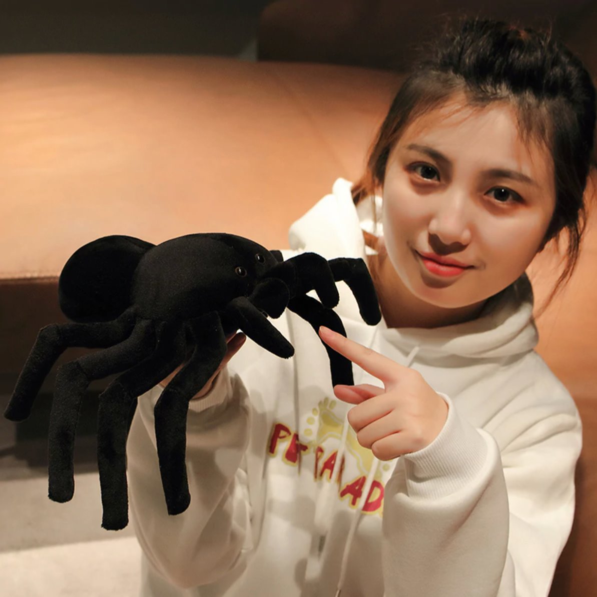 Terry the Tarantula